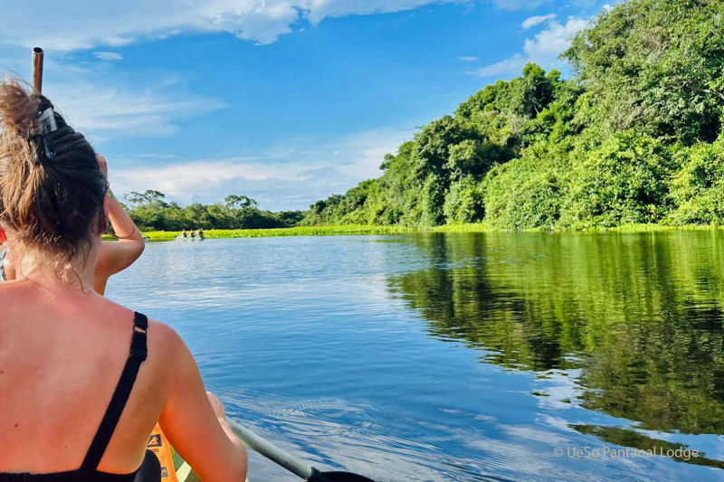 Paddeltouren auf dem Rio Claro