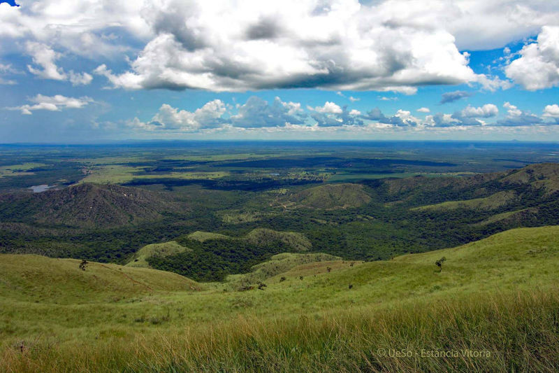 Aussicht vom Tafelberg, Cerado Mato Grosso