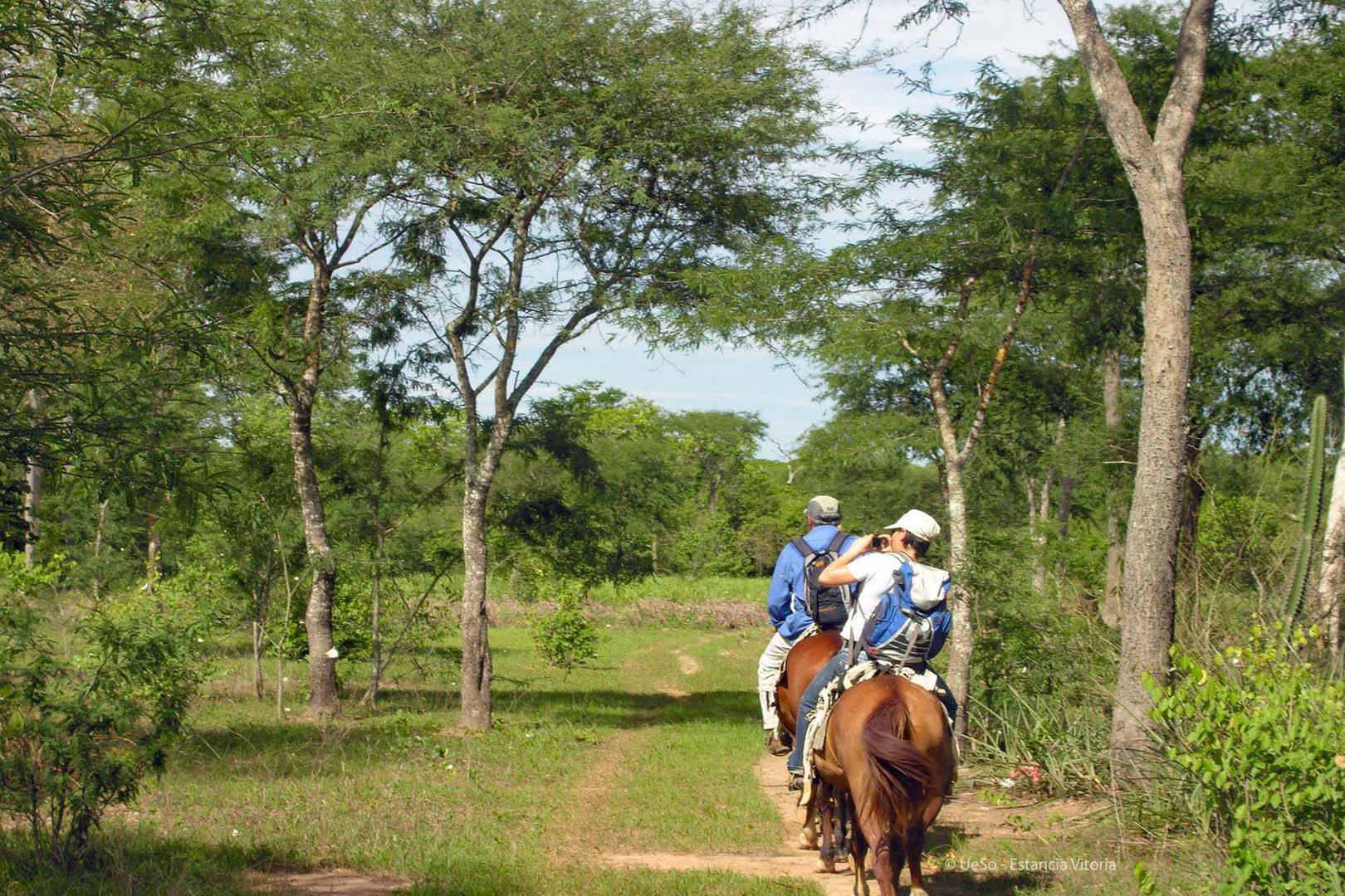 Entdeckungstour auf dem Pferd