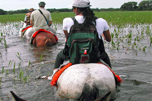 Tour 2 - Pirschtouren im Pantanal