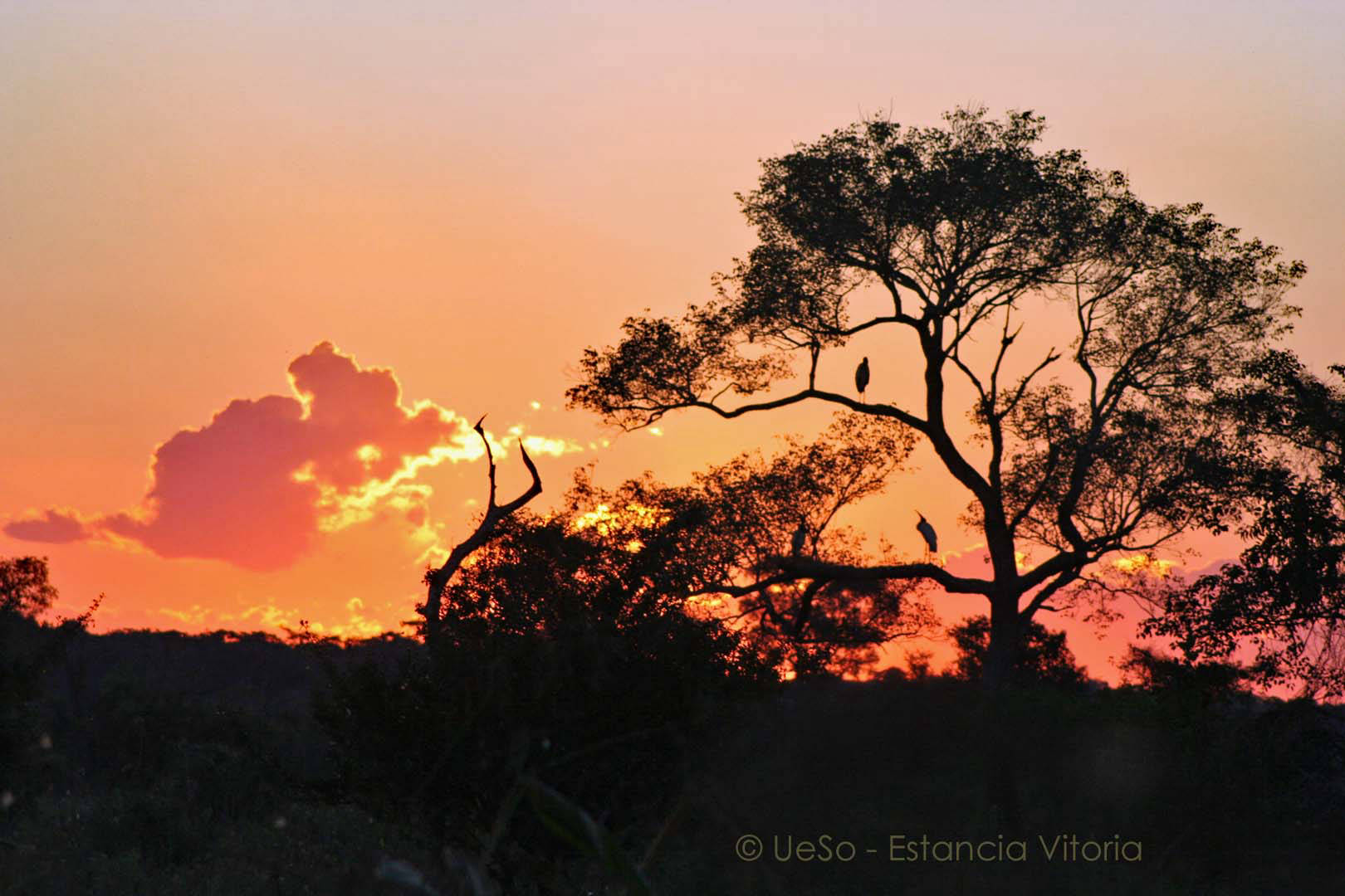 Pantanal bei Dämmerung