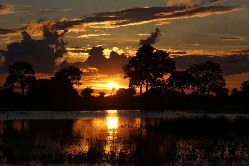 Sonnenuntergang vor unserem Teich