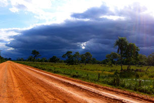 Tour 4 - Pirschtouren im Pantanal