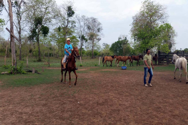 Vorbereitung für das Reiten