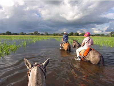 hikes in the Pantanal