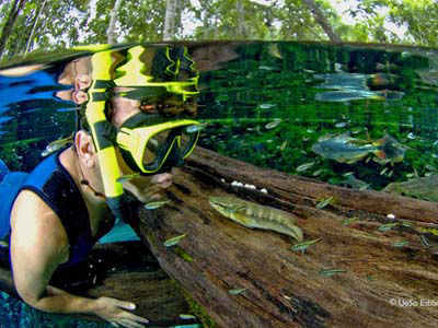 snorkelling in Nobres