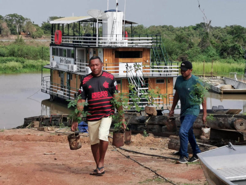 Pflanzensetzlinge für das Pantanal